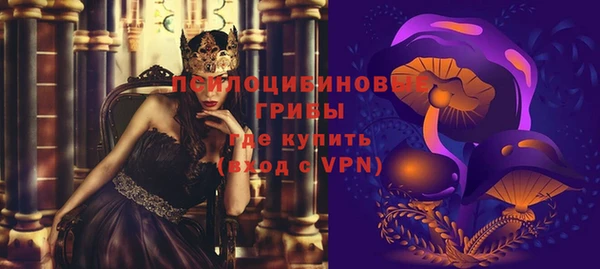 трава Абаза
