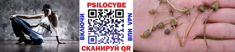 Галлюциногенные грибы MAGIC MUSHROOMS  Бирюсинск 